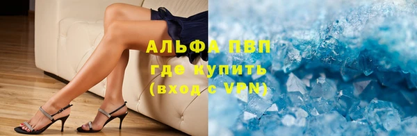 прущие грибы Белоозёрский