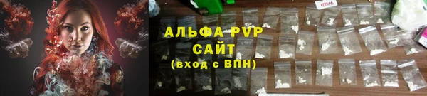 прущие грибы Белоозёрский