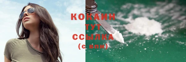 прущие грибы Белоозёрский