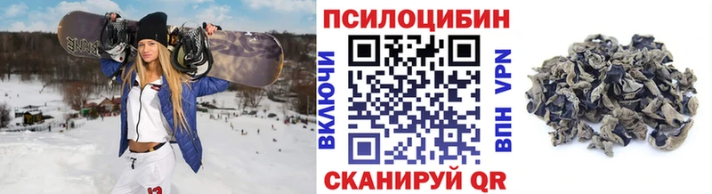 Псилоцибиновые грибы прущие грибы купить наркотики сайты Видное